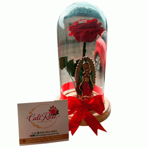 Rosa-Preservada-Roja--con-Virgen-en-Cali