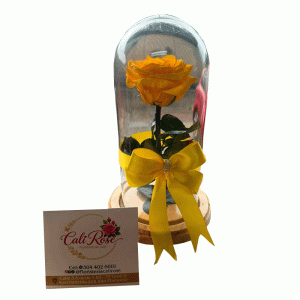 rosa-preservada-amarilla-en-cali